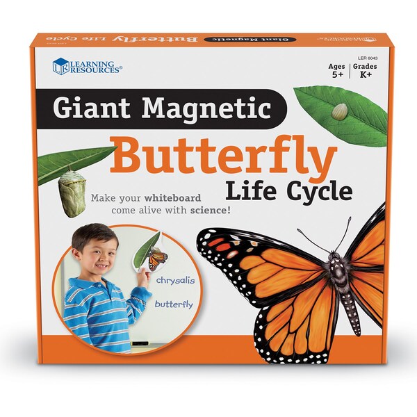Learning Resources Giant Magnetic Butterfly Life Cycle, Set of 9 Figurines LER6043 - main